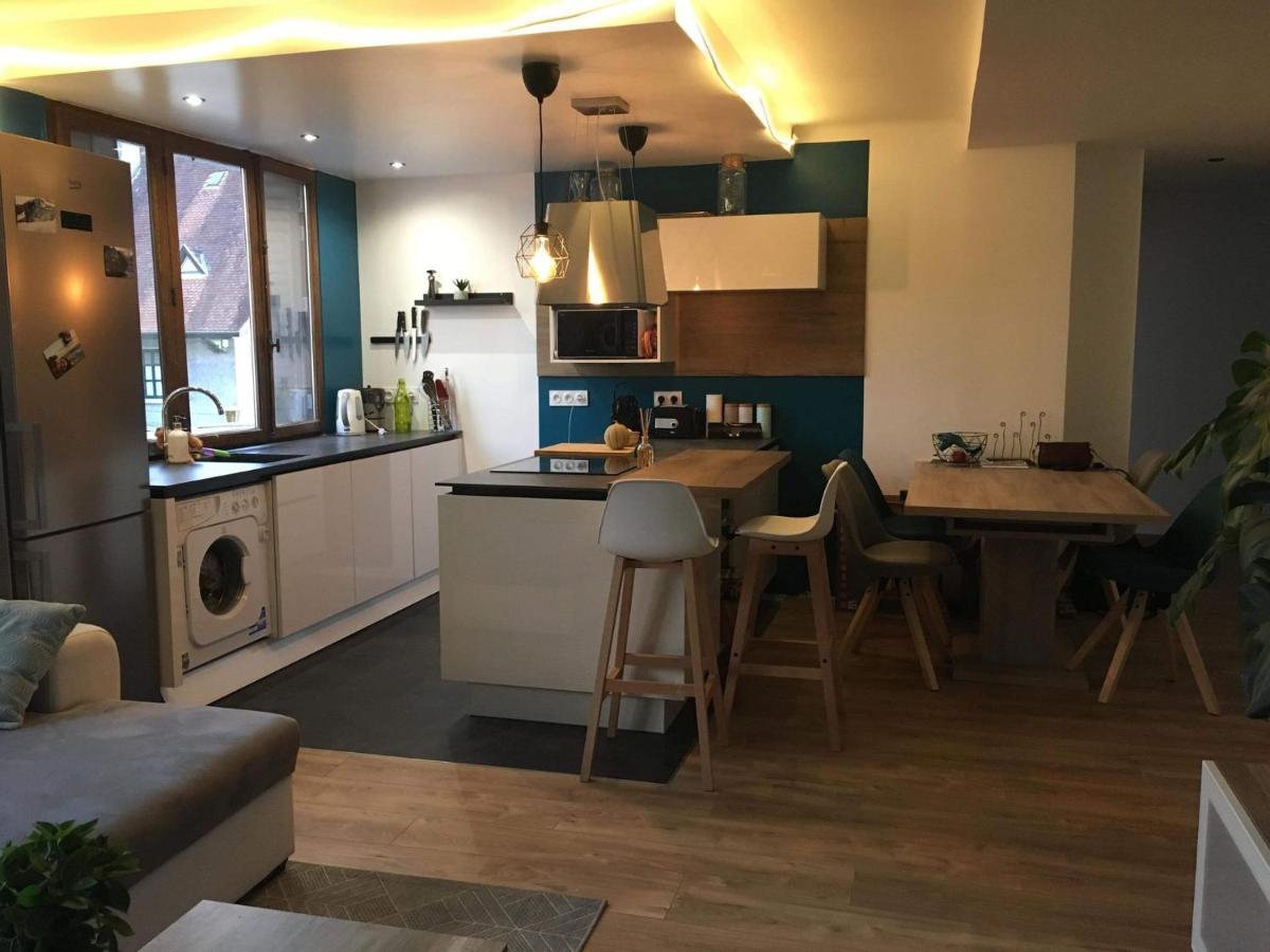 Le Coquet - Gare - Hyper Centre - Parking - Wifi - Netflix - Disney+ Annecy Luaran gambar